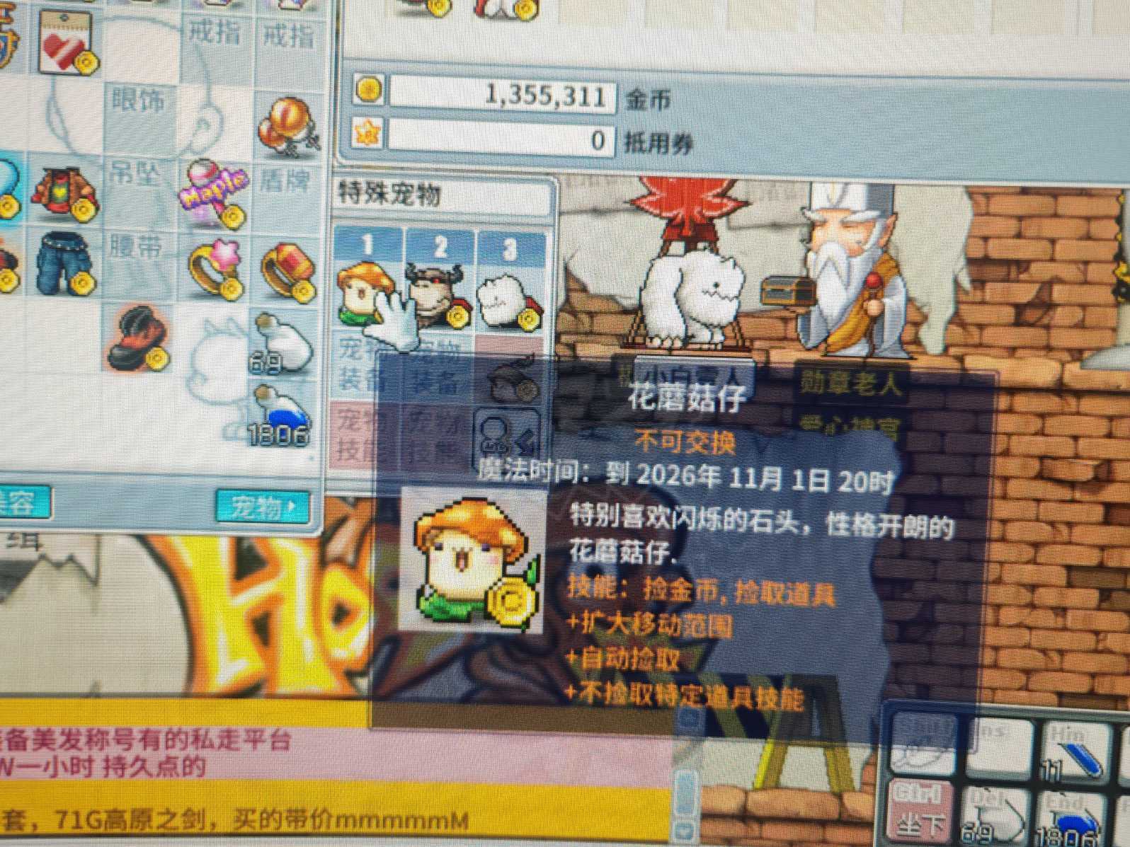 冒险岛怀旧服-账号-[牧师 49级]双稀有发型，水汪汪脸，所有背包已开1页半。一页时装，3宠物均带满技能