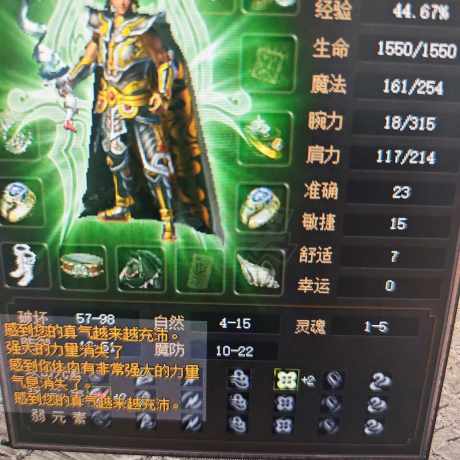 传奇3(时长版)-账号-[战士 61级]忍痛割爱 赔钱**