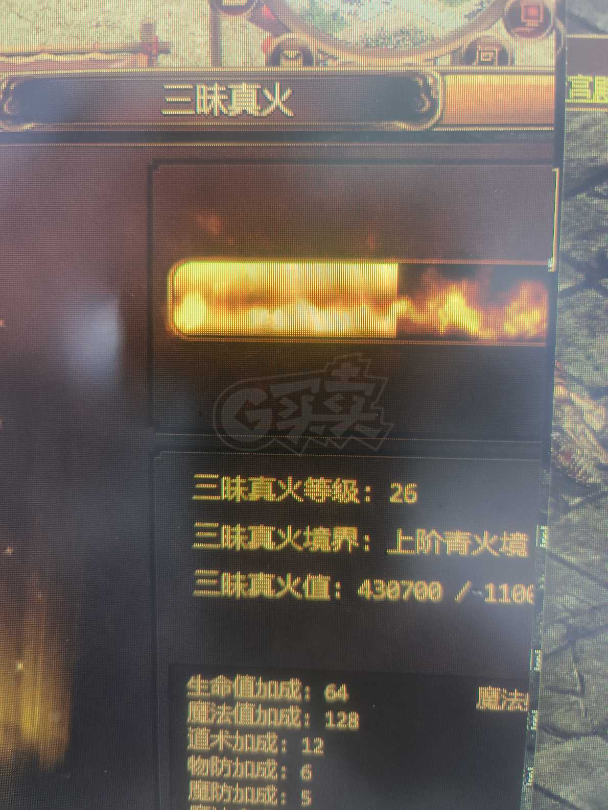 夺宝传世-账号-[道士 52级]天玄套技能全26真火，挂机打宝娱乐
