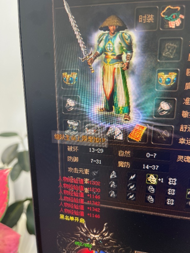 传奇3(时长版)-账号-[道士 51级]诺玛区51.8级道士，挂机装