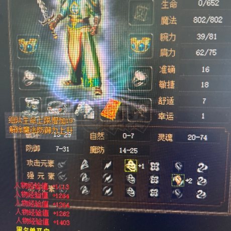 传奇3(时长版)-账号-[道士 51级]诺玛区51.8级道士，挂机装