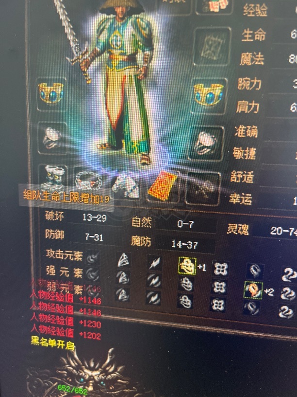 传奇3(时长版)-账号-[道士 51级]诺玛区51.8级道士，挂机装