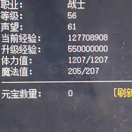 热血传奇1.76秒卡传承版-账号-[战士 56级]经验过亿