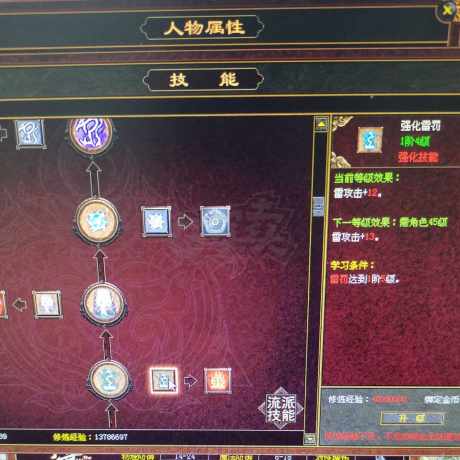传奇世界-账号-[法师 50级]50级雷法五级良好豹子