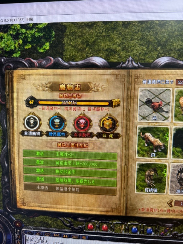 热血传奇怀旧版-账号-[法师 62级]高级运9法师魔物志47 纪念章20 16 18