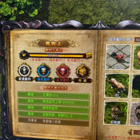 热血传奇怀旧版-账号-[法师 62级]高级运9法师魔物志47 纪念章20 16 18