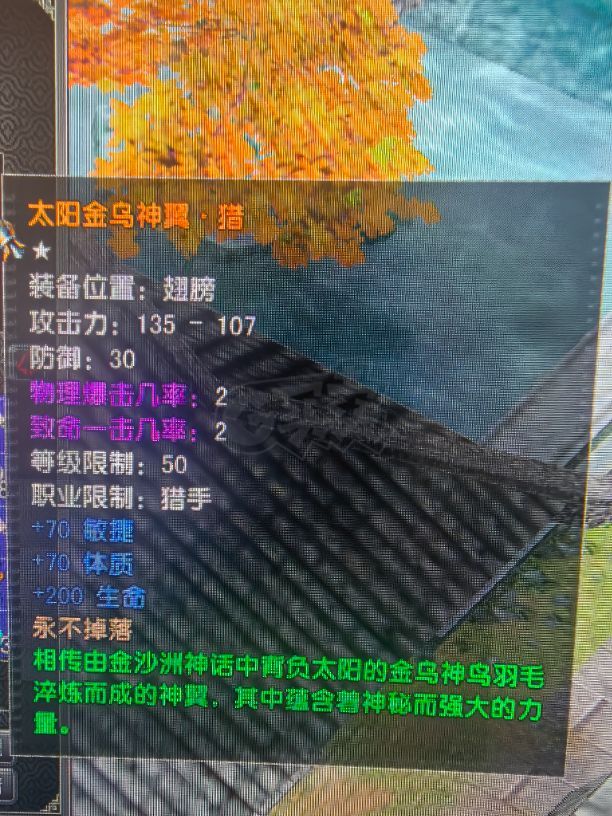 风云怀旧服-账号-[猎手 融合期*5阶]盘地猎手，80级神武器衣服护手鞋子腰带加20套，5孔套，神背包，50级金乌