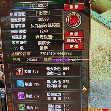风云-账号-[猎手 炼气期*1阶]56级射手，全套10件*6，9件50MM魔化*6