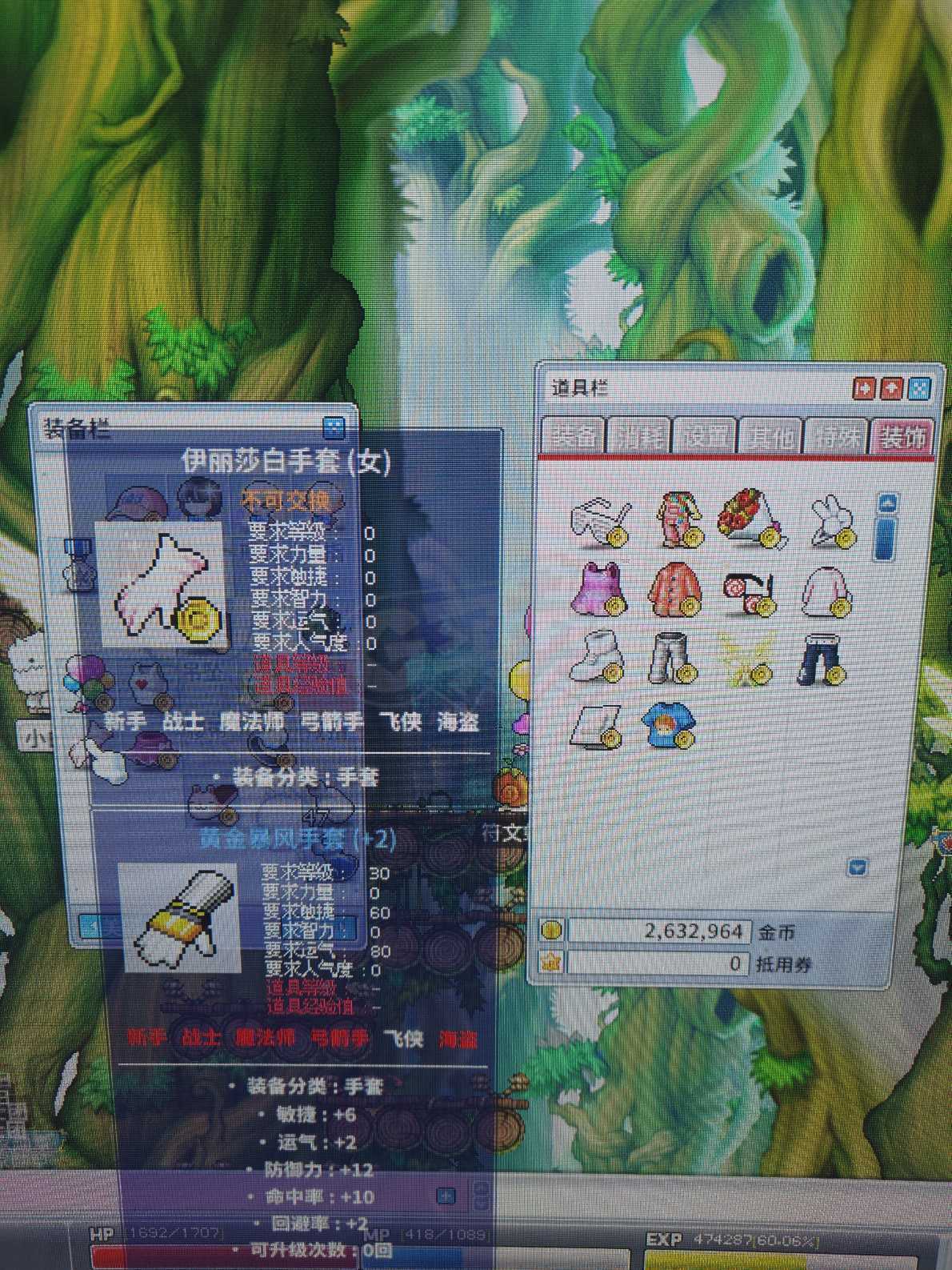 冒险岛怀旧服-账号-[冰雷法师 72级]心血双号