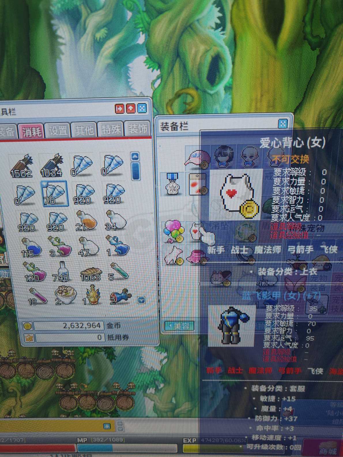 冒险岛怀旧服-账号-[冰雷法师 72级]心血双号