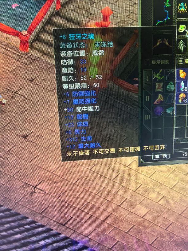 风云怀旧服-账号-[猎手 融合期*5阶]77炎天神套妹妹