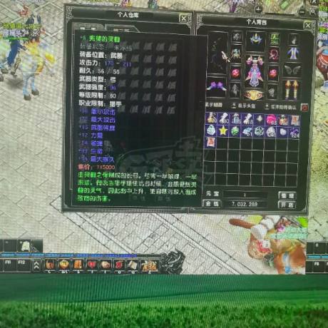 风云怀旧服-账号-[猎手 融合期*5阶]65级MM