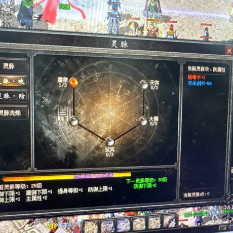 热血传奇-账号-[道士 64级]双道士 有大狗，双噬血，双四级毒，1*1令牌，有战魂。空号
