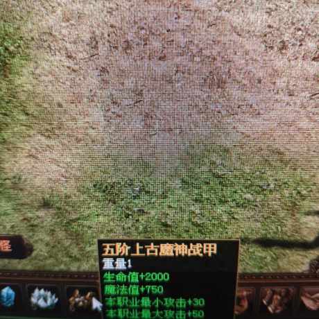 夺宝传世-账号-[道士 71级]满级内衣道士高真火登录不上找客服要密码