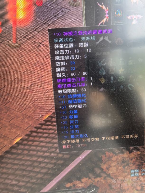 风云怀旧服-账号-[猎手 融合期*5阶]凌风88级妹妹刷子号全身16