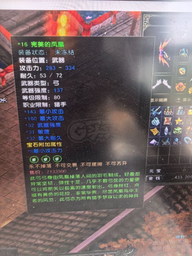 风云怀旧服-账号-[猎手 融合期*5阶]凌风88级妹妹刷子号全身16