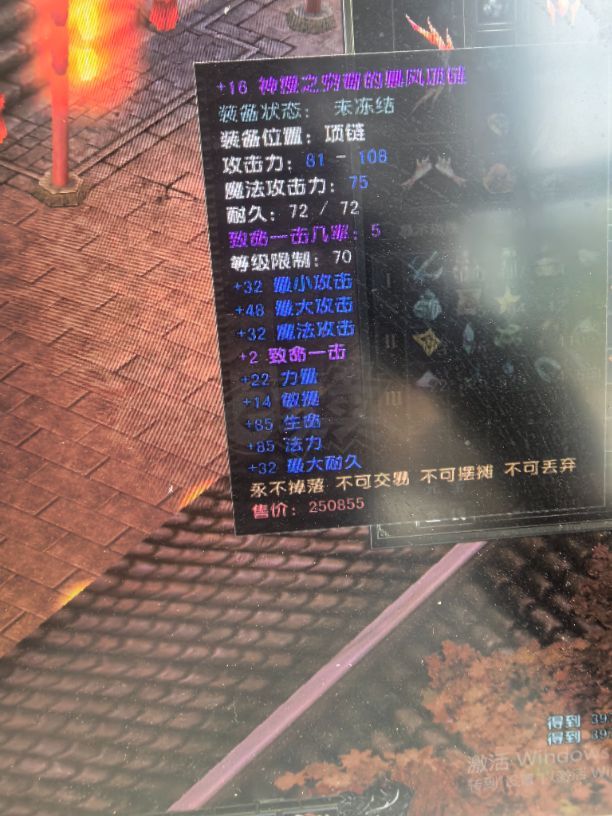 风云怀旧服-账号-[猎手 融合期*5阶]凌风88级妹妹刷子号全身16