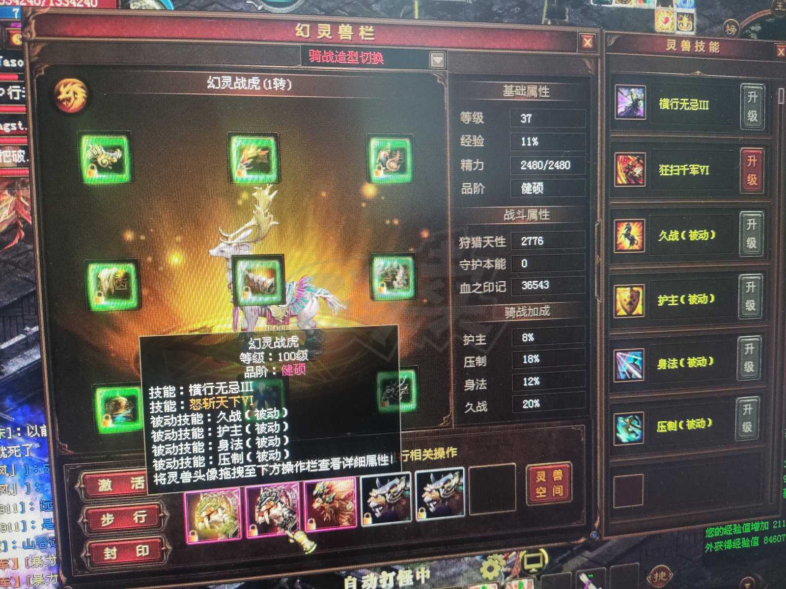 新英雄年代-账号-[猎心 247级]弑神戒指