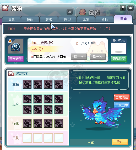 彩虹岛-账号-[辉耀剑神 300级]9连体剑神，LA终末0教团套，15颗不可交易强化石，满觉醒召唤兽